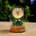 Night Lamp | Glass Dome & Preserved Dried Flowers | Warm White Light
