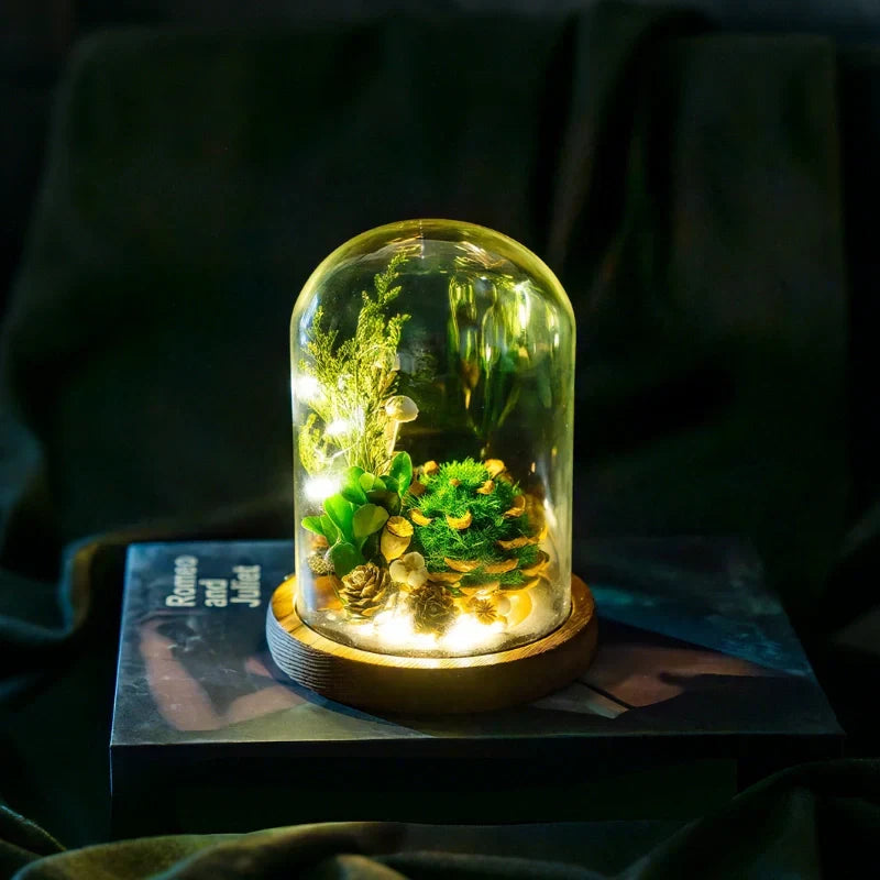 Night Lamp | Glass Dome & Preserved Dried Flowers | Warm White Light