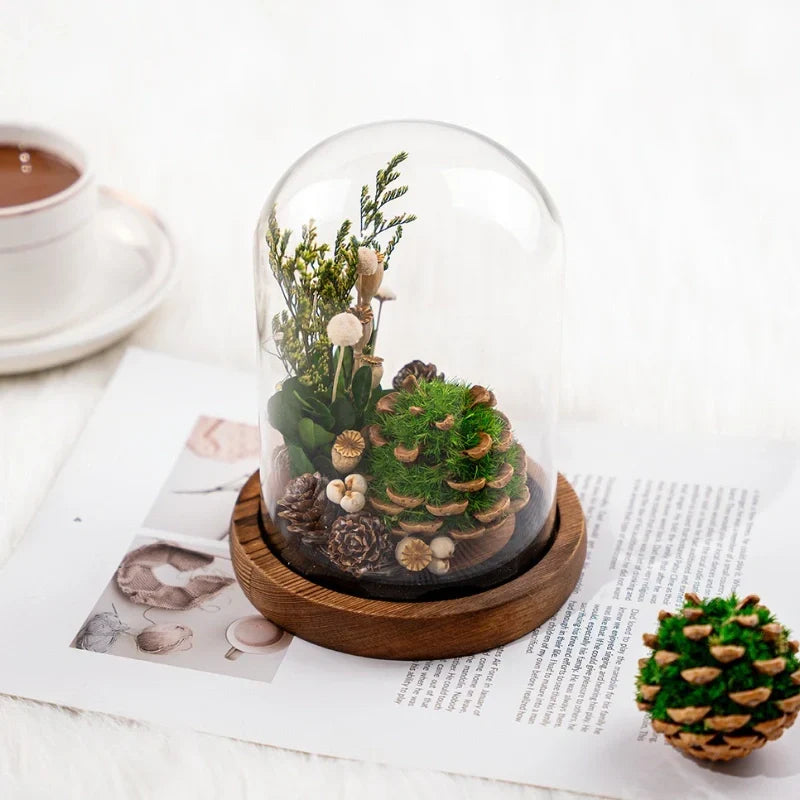 Night Lamp | Glass Dome & Preserved Dried Flowers | Warm White Light