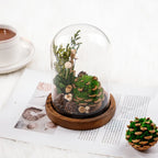 Night Lamp | Glass Dome & Preserved Dried Flowers | Warm White Light