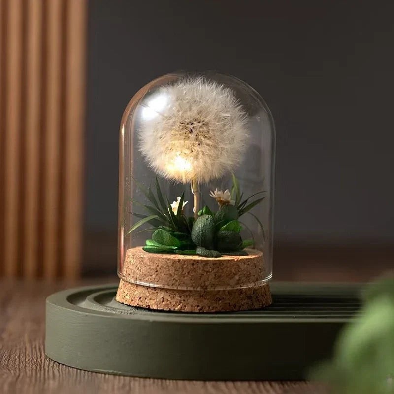 Night Lamp | Glass Dome & Preserved Dried Flowers | Warm White Light