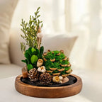 Night Lamp | Glass Dome & Preserved Dried Flowers | Warm White Light