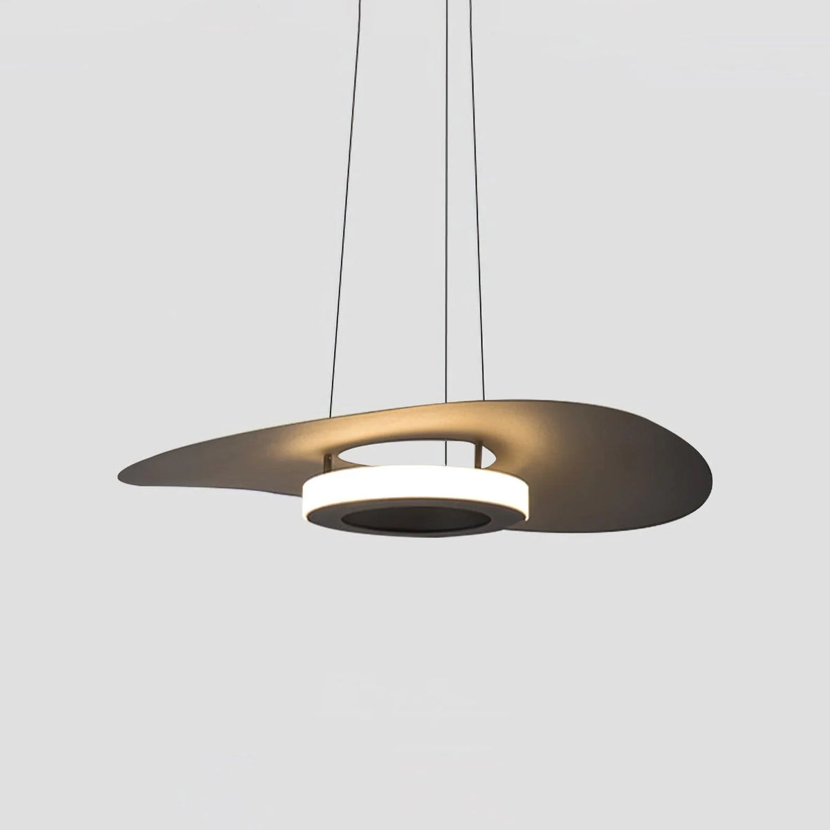 Pendant Ceiling Light | Integrated LED & Adjustable Height | Diameter 40/60/80 cm