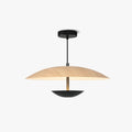 Pendant Light | Cone Metal Shade & Warm LED | Adjustable Cord