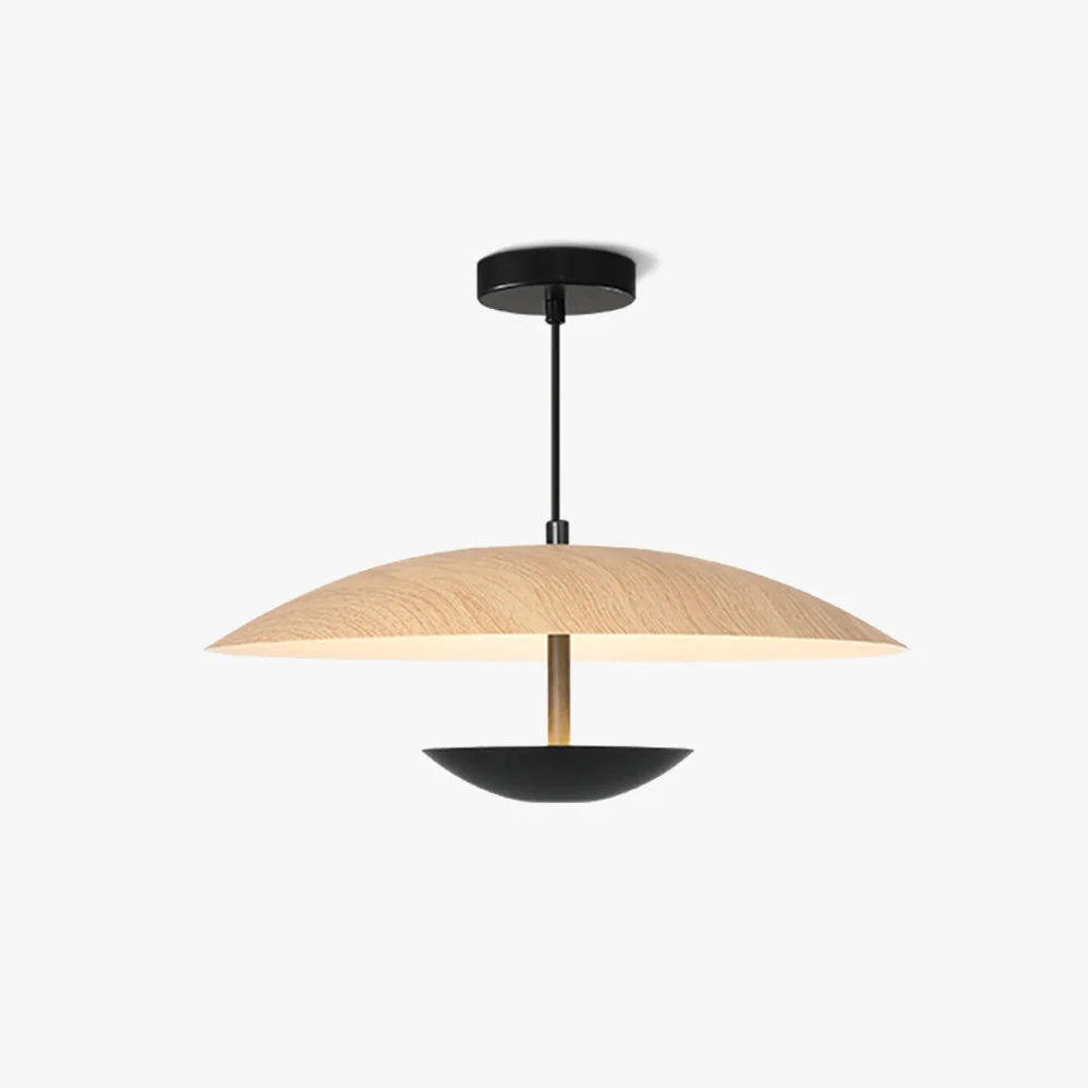 Pendant Light | Cone Metal Shade & Warm LED | Adjustable Cord