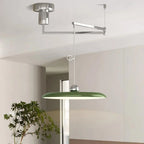 Pendant Light with Adjustable Arm