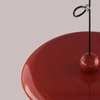 Pendant Light with Adjustable Arm