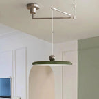 Pendant Light with Adjustable Arm