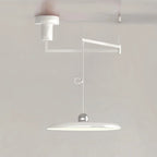Pendant Light with Adjustable Arm
