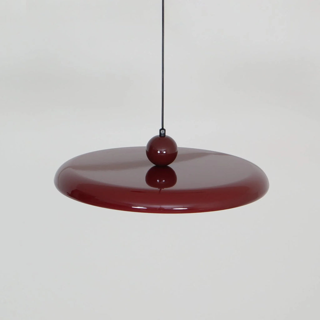 Pendant Light with Adjustable Arm