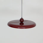Pendant Light with Adjustable Arm