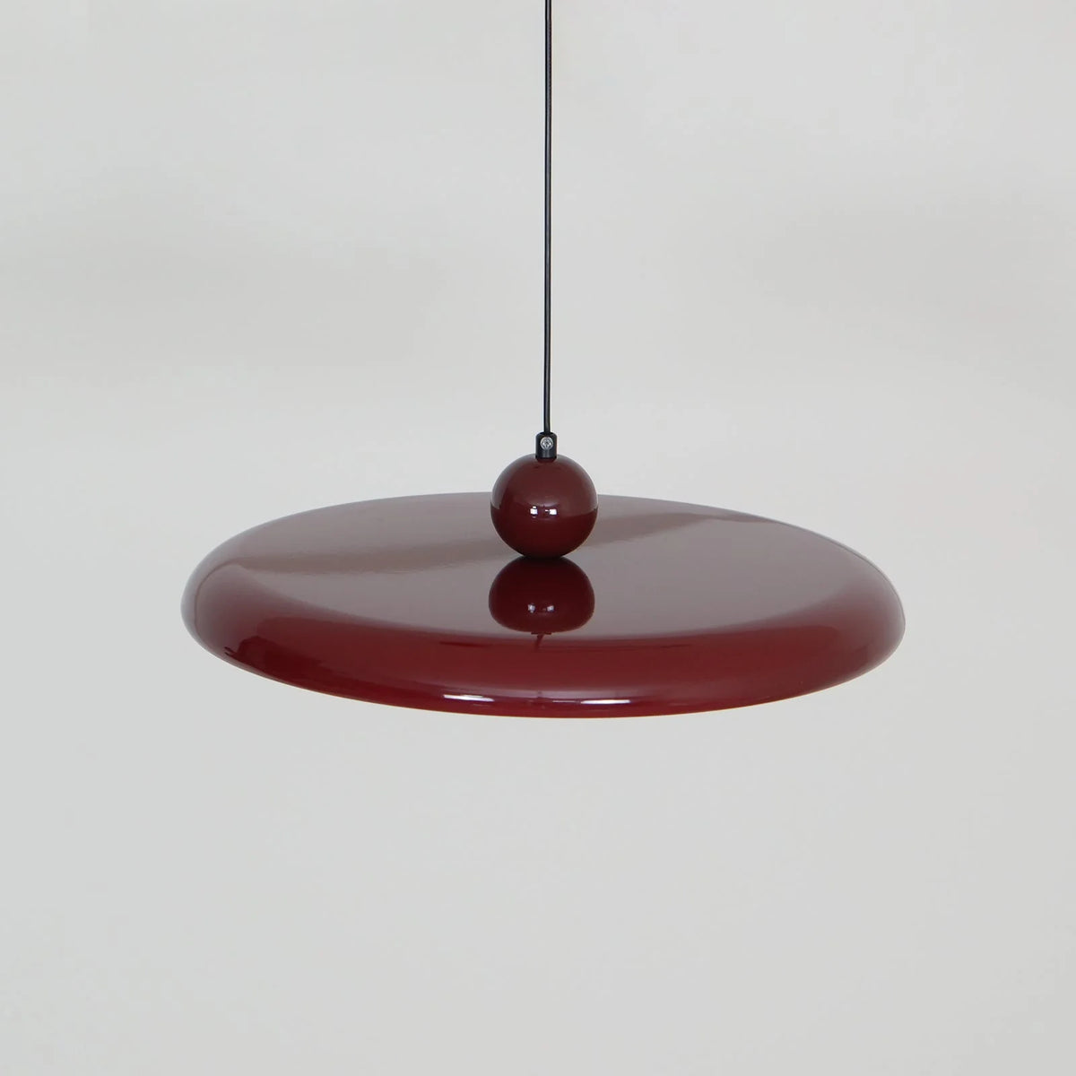 Pendant Light with Adjustable Arm