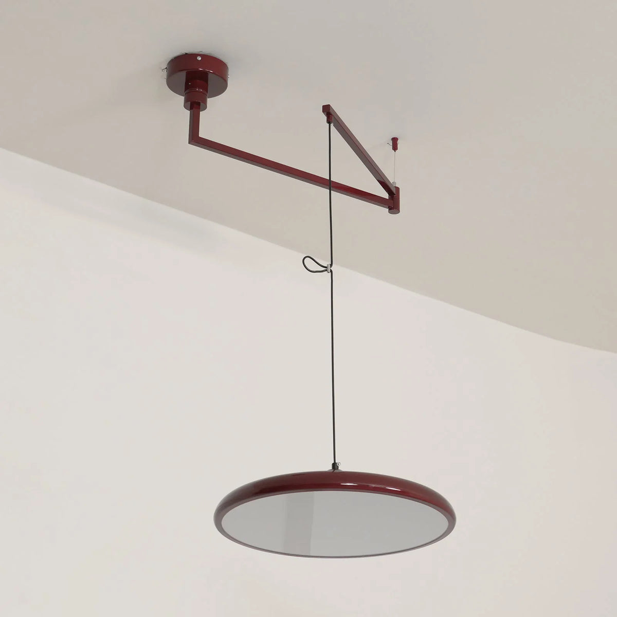 Pendant Light with Adjustable Arm
