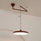 Pendant Light with Adjustable Arm