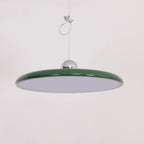 Pendant Light with Adjustable Arm