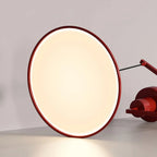 Pendant Light with Adjustable Arm