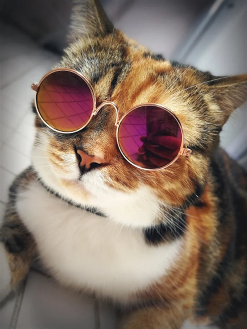 Pet Sunglasses | Lightweight & Sturdy Round Retro Frame | For Cats & Small Pets