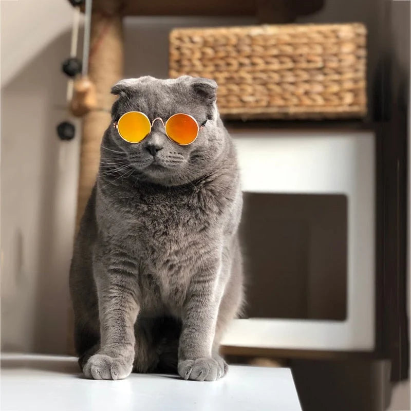 Pet Sunglasses | Lightweight & Sturdy Round Retro Frame | For Cats & Small Pets