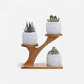 Plant Stand | Double-Level Bamboo & Portable | Indoor & Outdoor