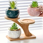 Plant Stand | Double-Level Bamboo & Portable | Indoor & Outdoor