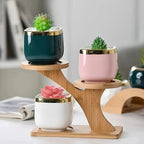 Plant Stand | Double-Level Bamboo & Portable | Indoor & Outdoor