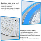 Pool Light | IP68 Waterproof & Stainless Steel | Wall-Mountable