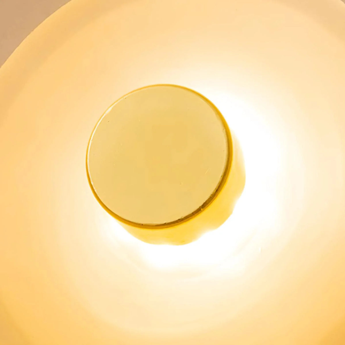 Round Wall Light | Integrated LED Warm White & Damp-Rated Glass | 25 cm Diameter