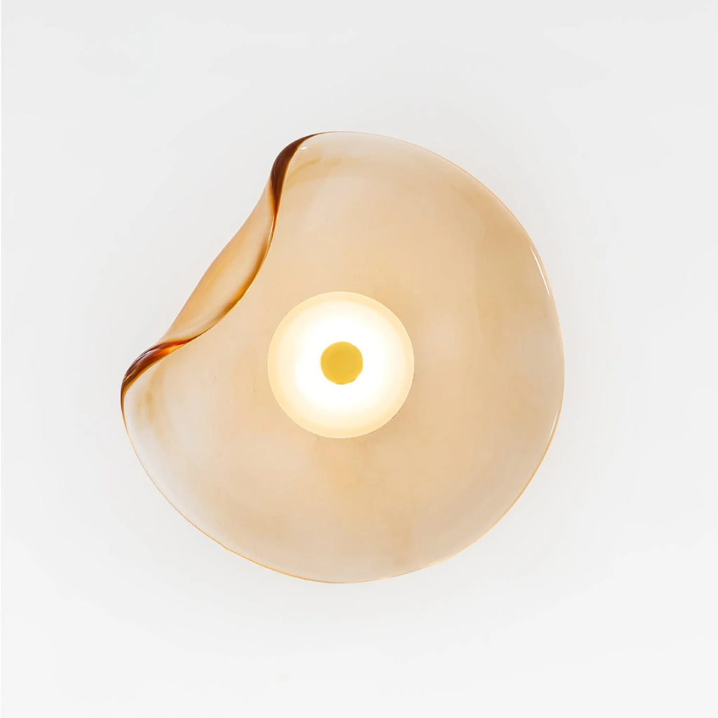 Round Wall Light | Integrated LED Warm White & Damp-Rated Glass | 25 cm Diameter