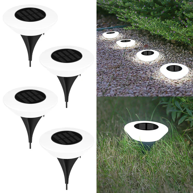Solar Ground Lights | Solar-Powered 360° LED Illumination | Set of 4