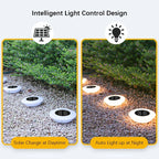 Solar Ground Lights | Solar-Powered 360° LED Illumination | Set of 4