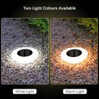Solar Ground Lights | Solar-Powered 360° LED Illumination | Set of 4