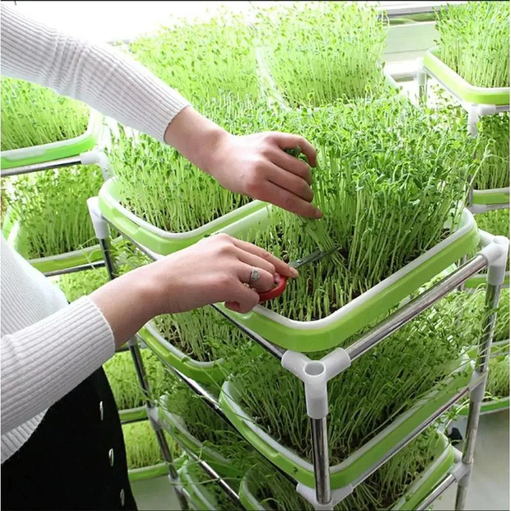 Sprouting Tray | Hydroponic 2-Layer System & BPA-Free