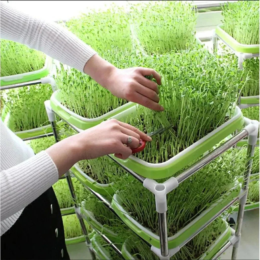 Sprouting Tray | Hydroponic 2-Layer System & BPA-Free
