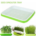 Sprouting Tray | Hydroponic 2-Layer System & BPA-Free