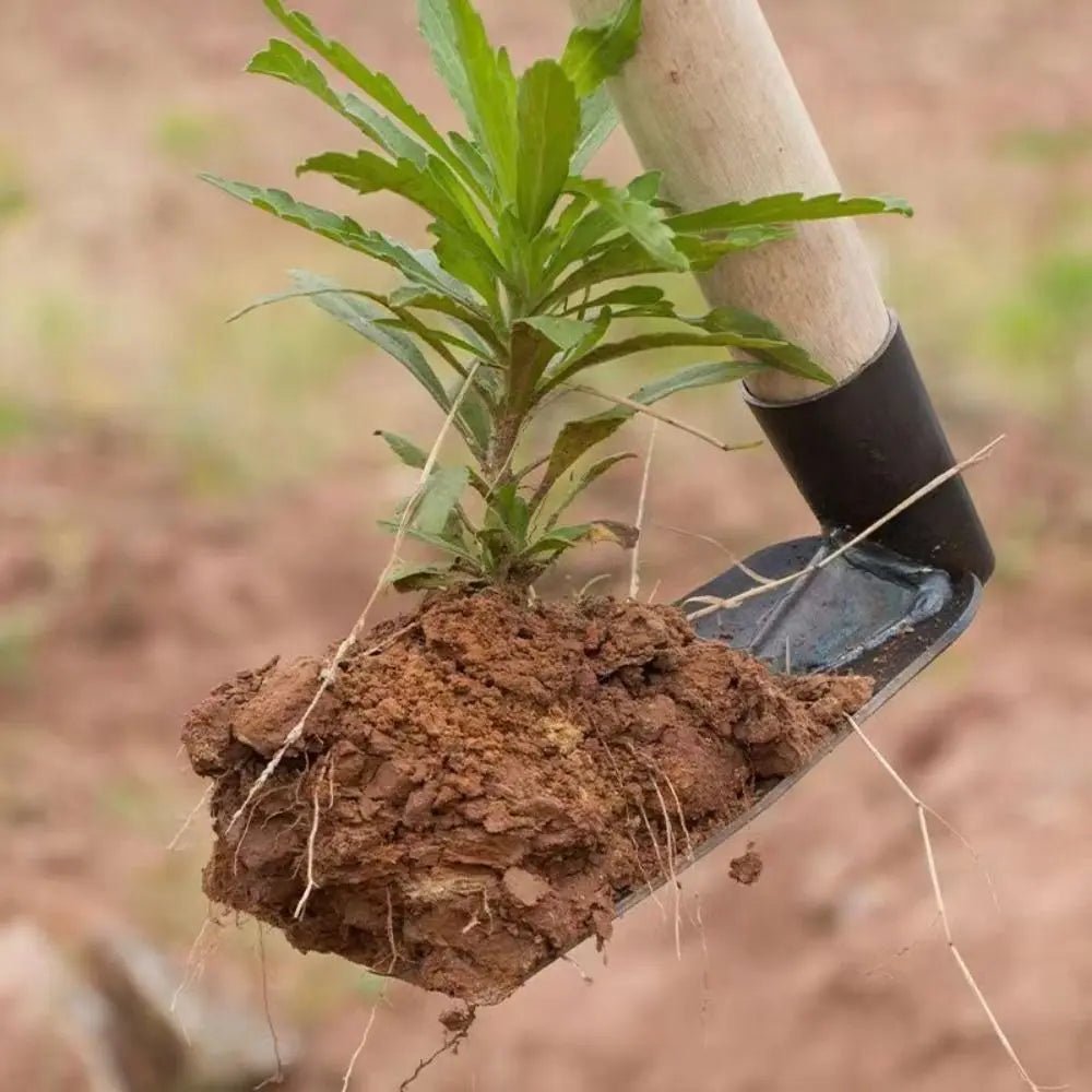 Steel Garden Hoe