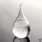 Storm Glass | Glass & Crystal On Wooden Base | Sizes S–L