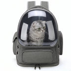 Transporttasche für Haustiere | Transparente Front & Rundum-Belüftung | Für Katzen & Kleine Hunde