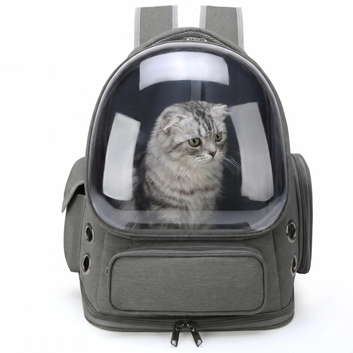Transporttasche für Haustiere | Transparente Front & Rundum-Belüftung | Für Katzen & Kleine Hunde