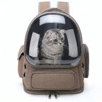 Transporttasche für Haustiere | Transparente Front & Rundum-Belüftung | Für Katzen & Kleine Hunde