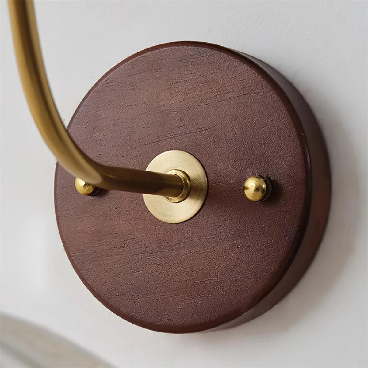 Wall Lamp | Carved Floral Petal Shade & Brass Arm