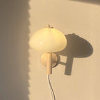 Wall Lamp | Milky Glass Shade & Iron Frame