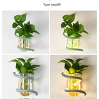Wall Lamp | Solid Wood, Glass Vase & Integrated LED | Weather-Resistant