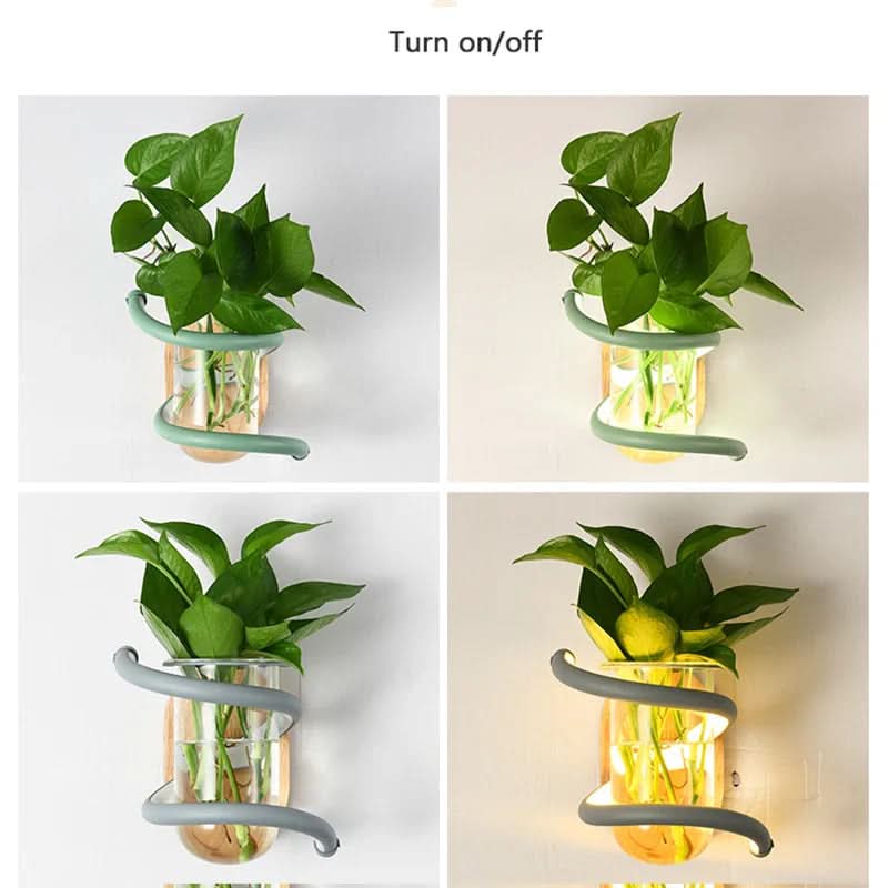 Wall Lamp | Solid Wood, Glass Vase & Integrated LED | Weather-Resistant