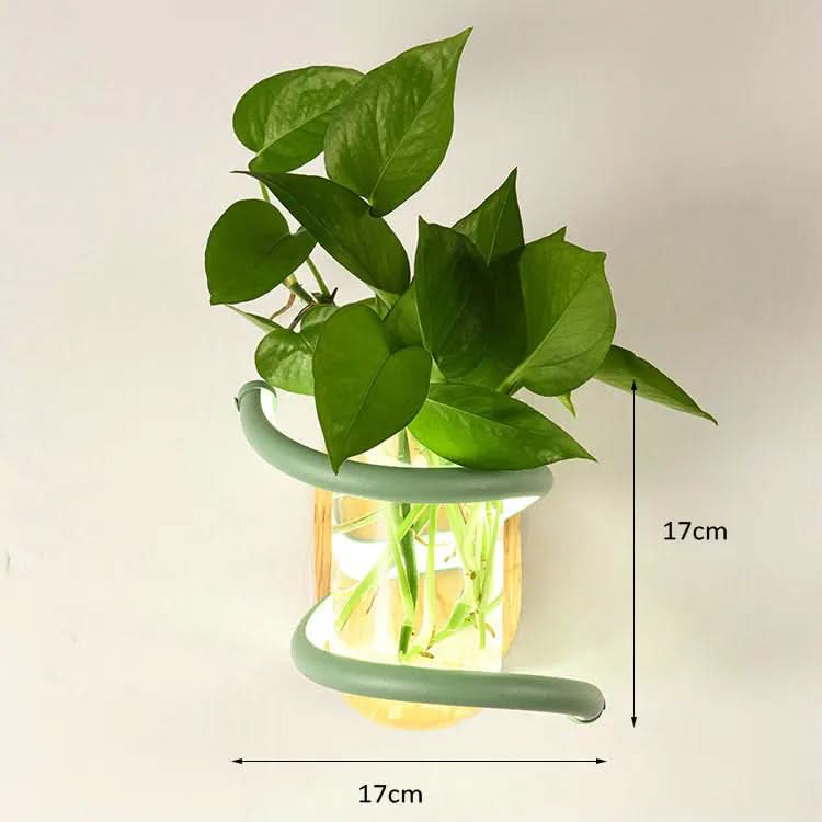 Wall Lamp | Solid Wood, Glass Vase & Integrated LED | Weather-Resistant