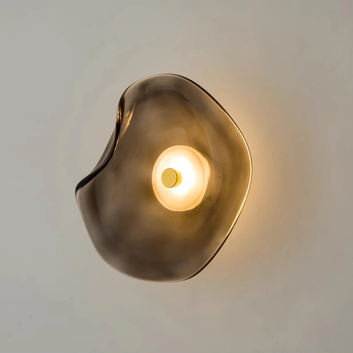 Wall Light | Glass Body & Integrated LED 3000K | 25 cm Diameter