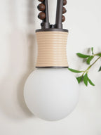 Wall Sconce | Loop Design Walnut Wood & Glass | G9 Bulb Holder