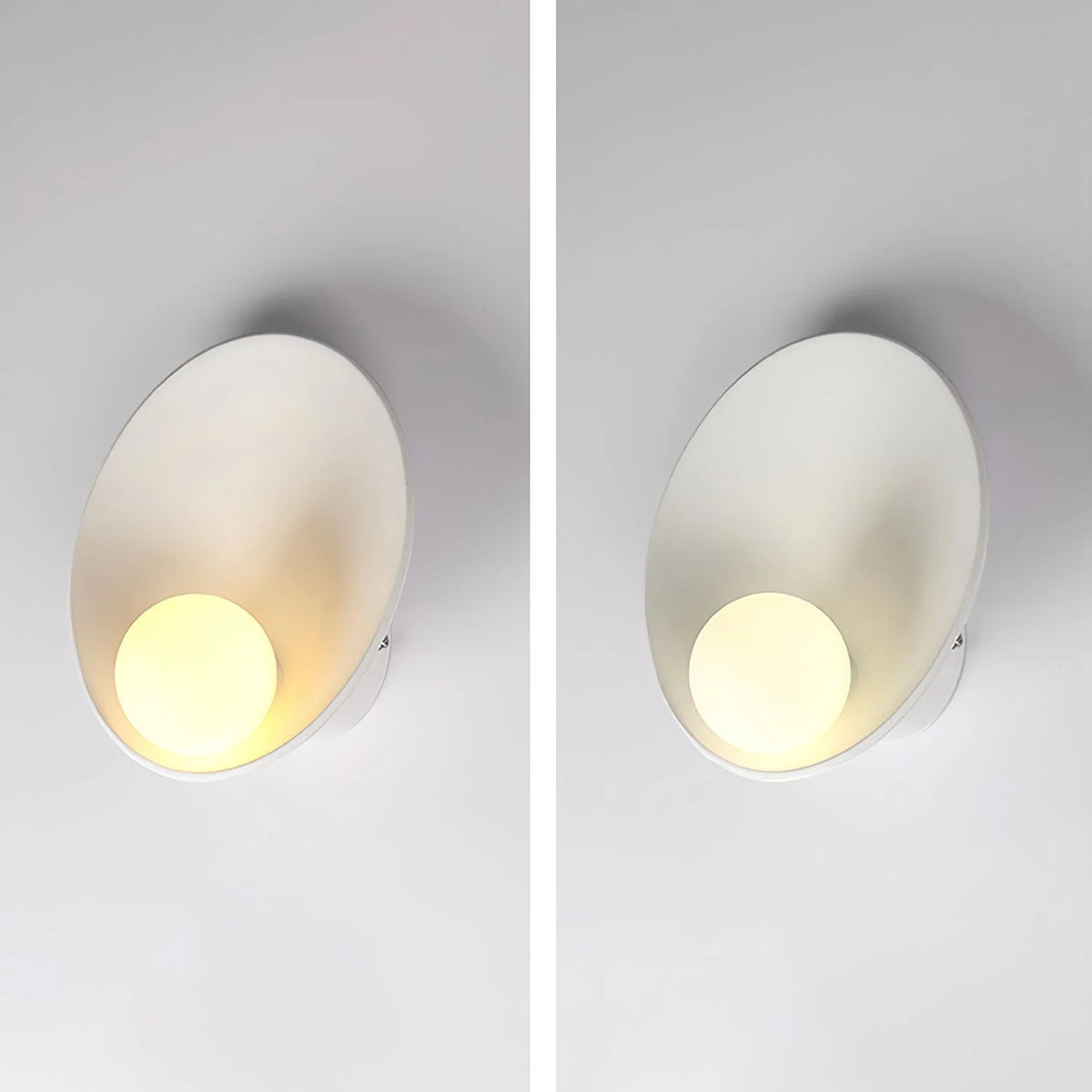 Wall Sconce | Seashell Resin Design | Hardwired Indoor Lighting