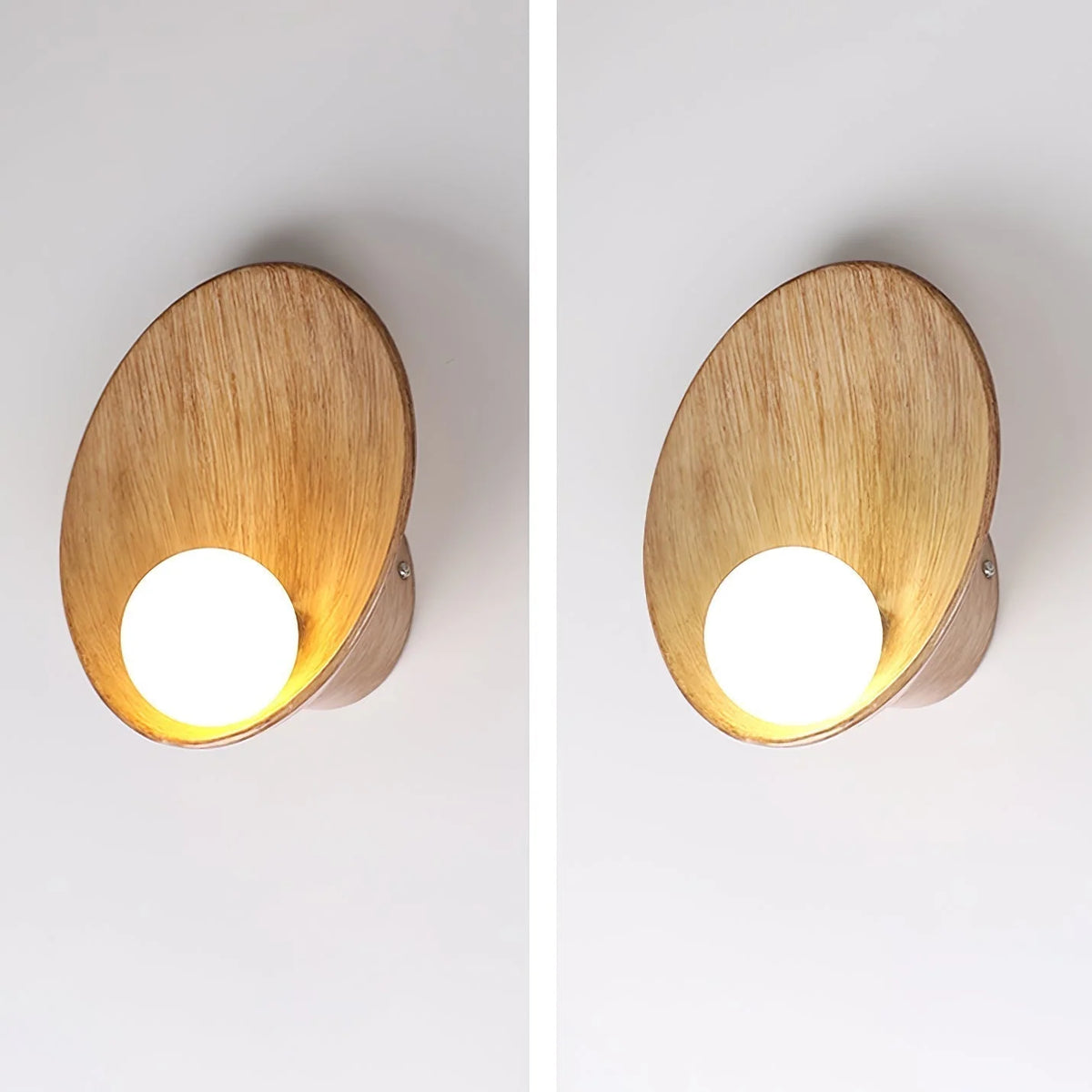 Wall Sconce | Seashell Resin Design | Hardwired Indoor Lighting