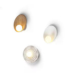 Wall Sconce | Seashell Resin Design | Hardwired Indoor Lighting