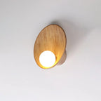 Wall Sconce | Seashell Resin Design | Hardwired Indoor Lighting